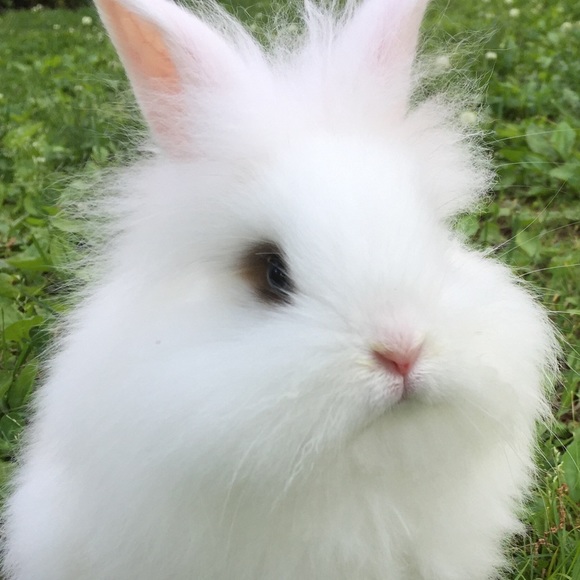 Meet your Posher, Sarah - Picture 2 of 2